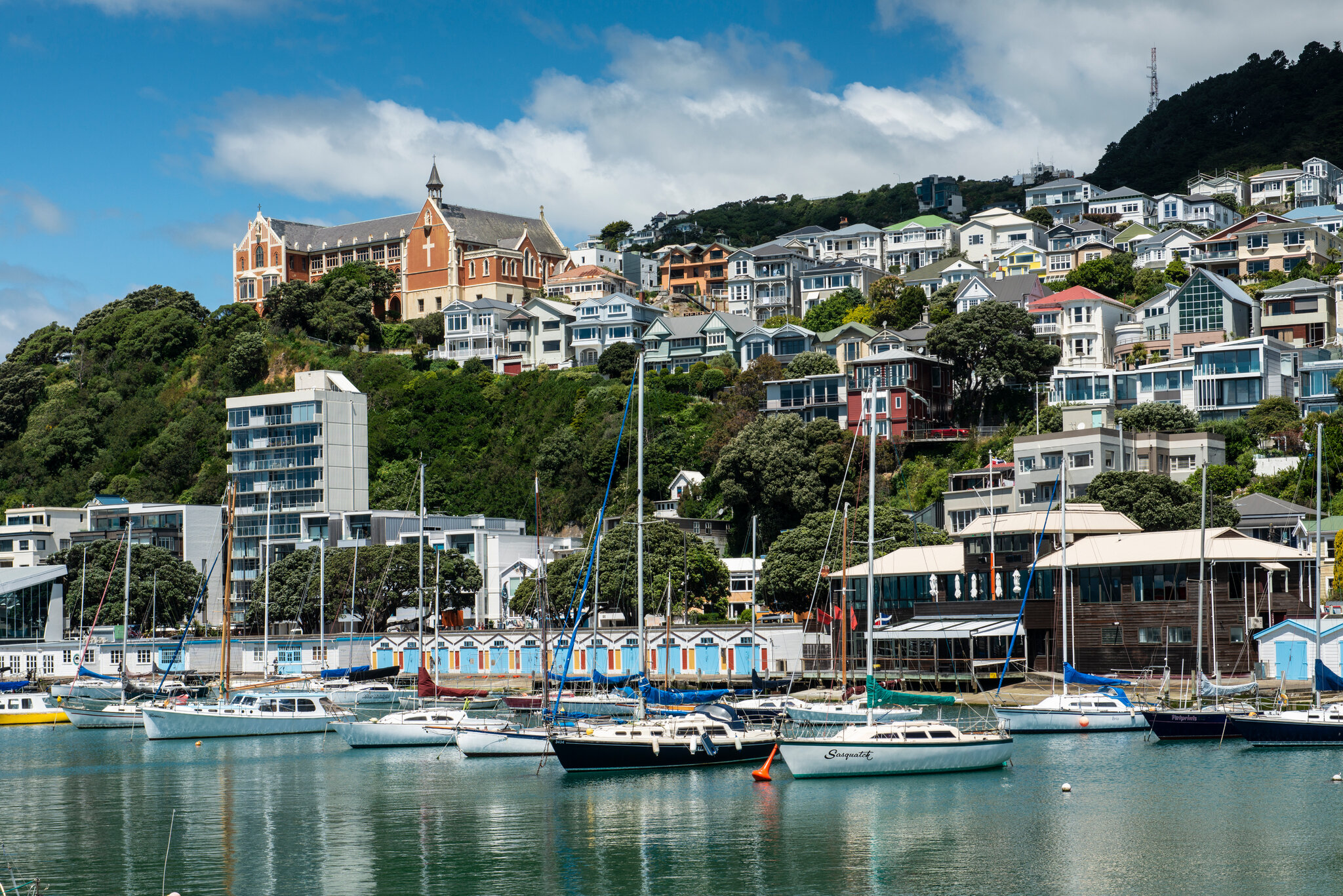 10 Best Places To Visit In Wellington In June 2024 Wyandottedaily