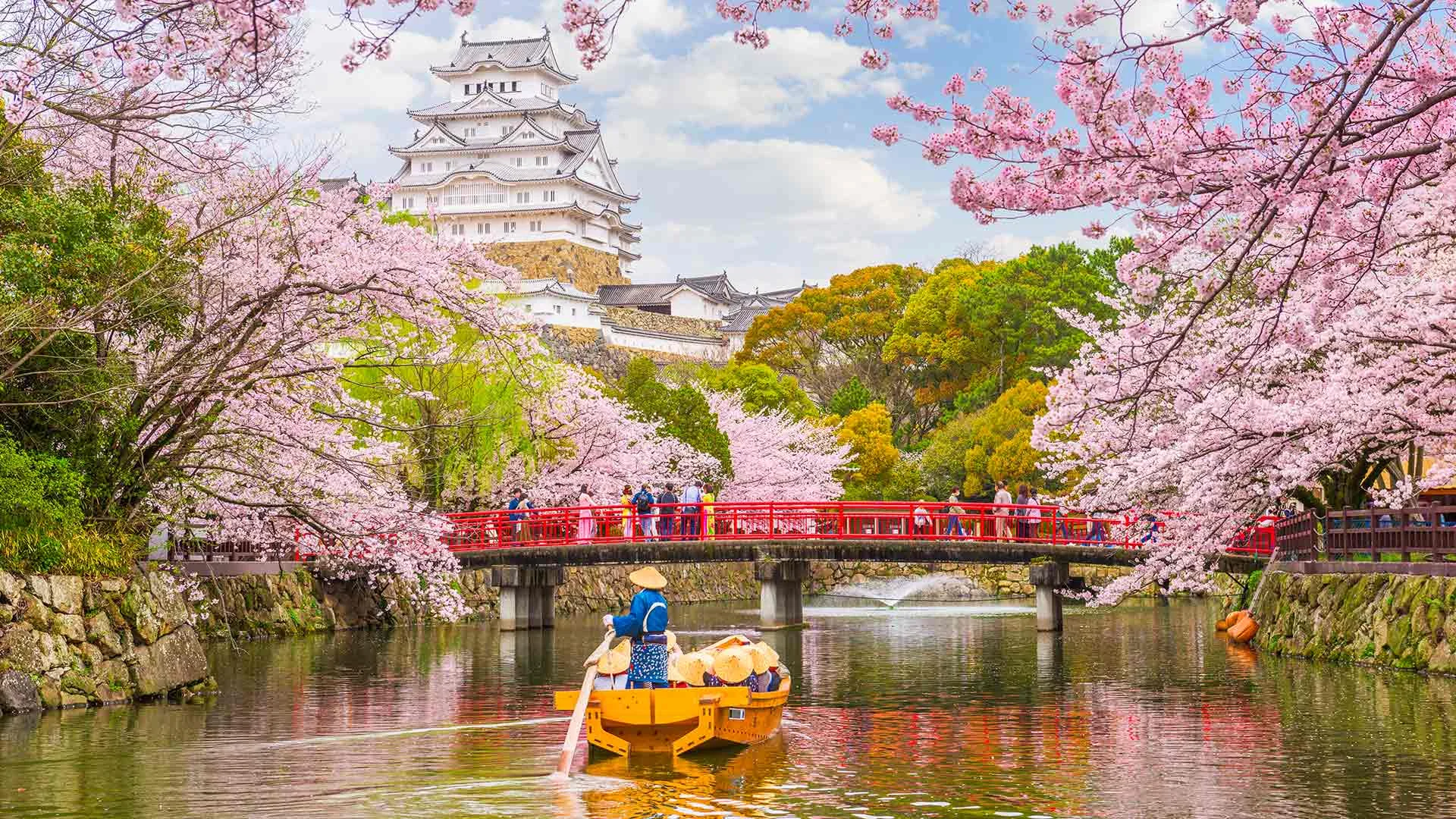 4 Best Places to Visit in Japan in March 2024