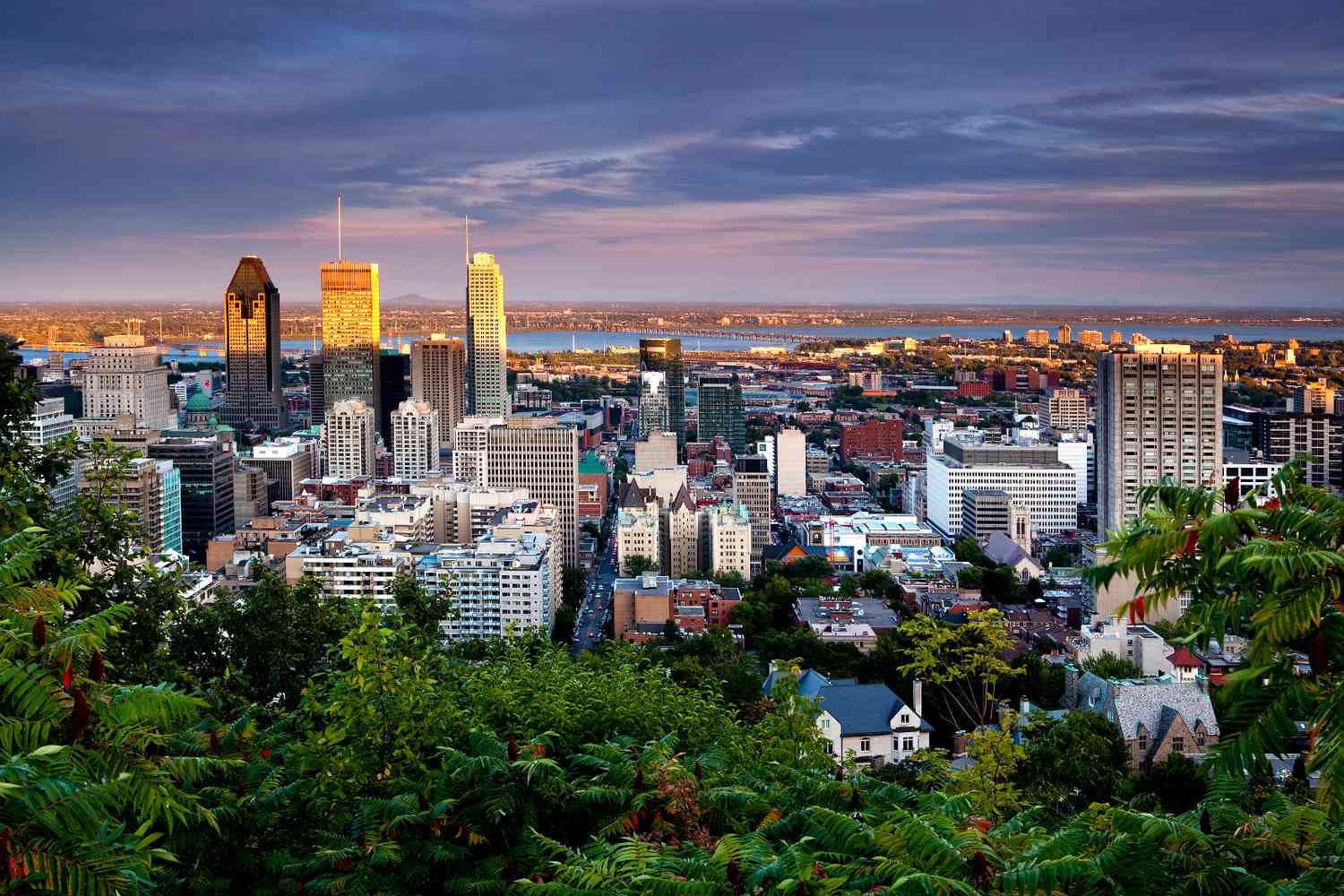 Ultimate Guide to the Best Nightlife in Montreal