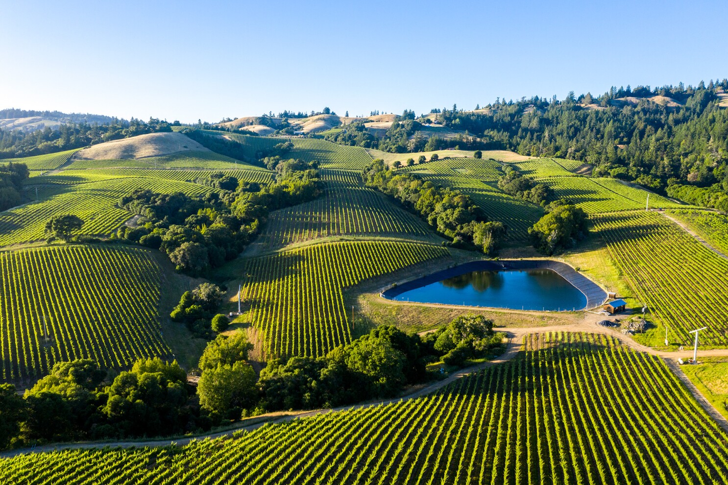 Best Time to Visit Napa Valley  Ideal Months and Seasons • Abroad