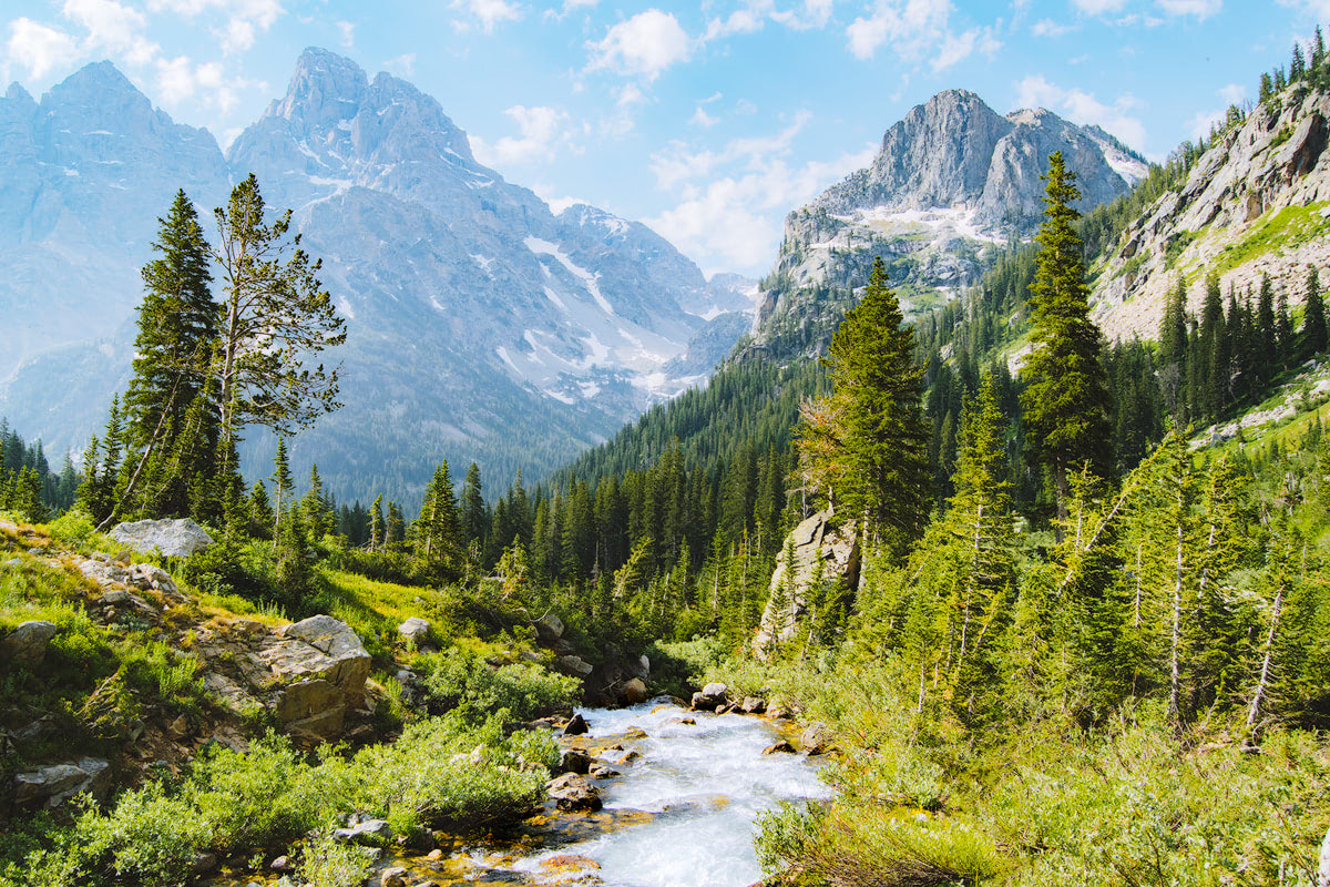 Worst Time To Visit Grand Teton National Park Wyandottedaily Com