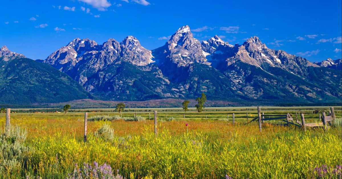 Best Things to Do in Jackson Hole