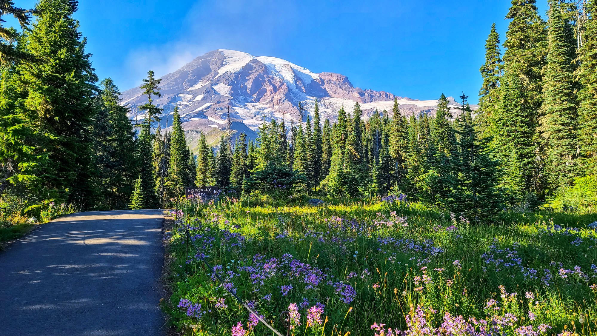 Best Things to Do in Mount Rainier National Park - wyandottedaily.com