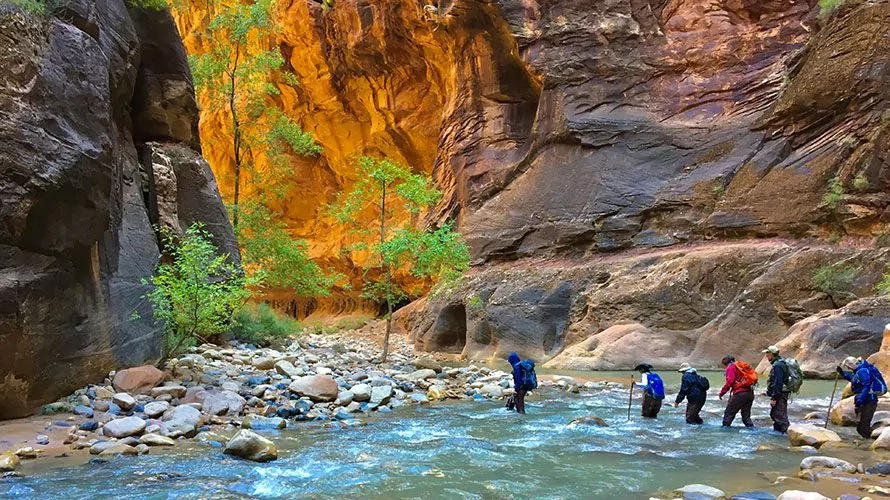 Best Things to Do in Zion National Park - wyandottedaily.com